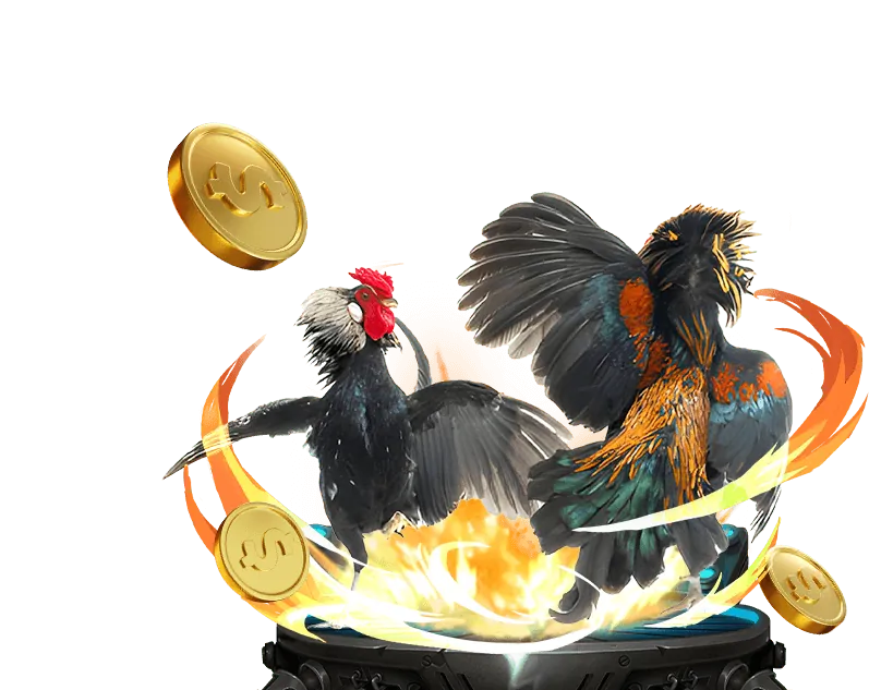 Đội ngũ hỗ trợ khách hàng Betvisa88