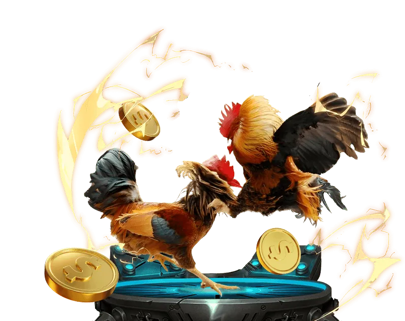 Tổng quan về đá gà trực tuyến betvisa88